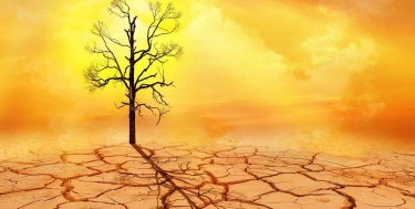 Image du réchauffement climatique 2